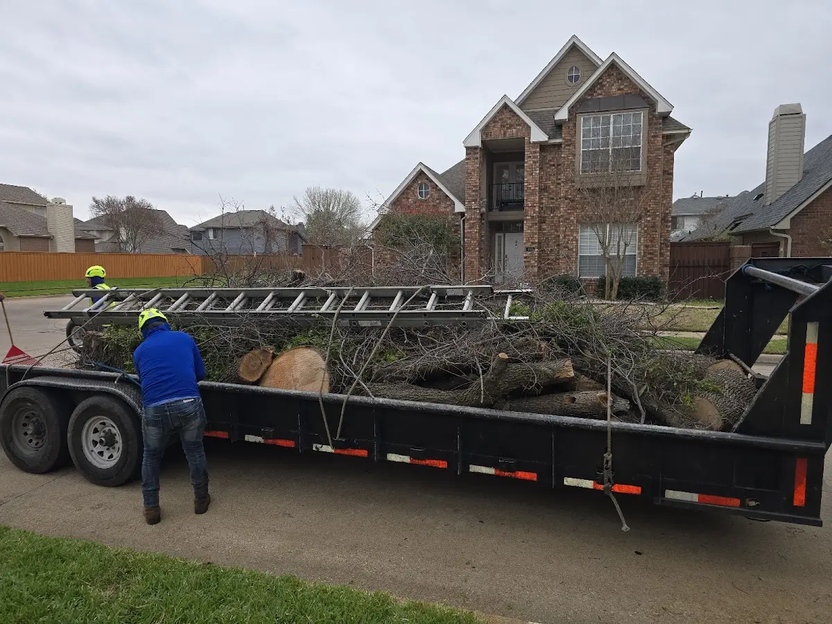 Expert Tree Fertilization with proper safety equipment in Perkins
